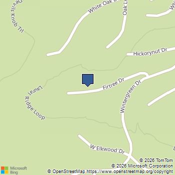 160 Firtree Dr Wintergreen, VA MLS# 682754