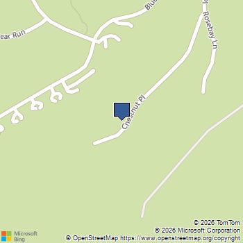 340 CHESTNUT PL Wintergreen Resort, VA MLS# 619157