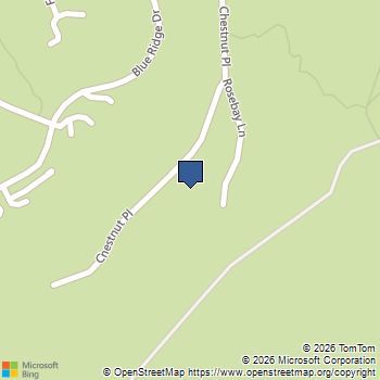 211 Chestnut Pl # 16 Roseland, VA MLS# 672764