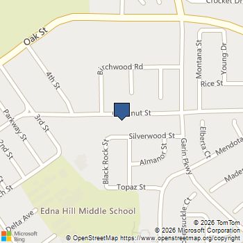 438 Chestnut St Brentwood, CA MLS# 41121734