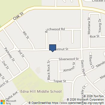 438 Chestnut St Brentwood, CA MLS# 41121734