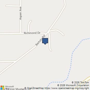 986 Bartolo Road Pioche, NV MLS# 2803823