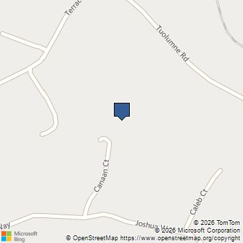 19090 Canaan Court Sonora, CA MLS# 41133377