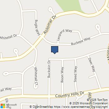 4437 Buckskin Dr Antioch, CA MLS# 41115439