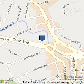 100 Sycamore Avenue San Anselmo, CA MLS# ML82023813