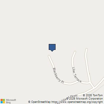 186 BLACKBERRY PL Gordonsville, VA MLS# 673690