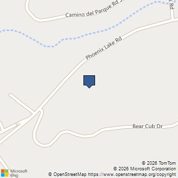 21181 Phoenix Lake Rd Sonora, CA MLS# 41138175