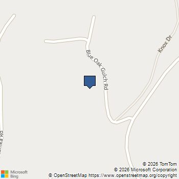 lot #27 Blue Oak Gulch Rd Twain Harte, CA MLS# 41133172