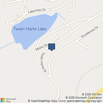 22447 Ponderosa DR Twain Harte, CA MLS# 41118268