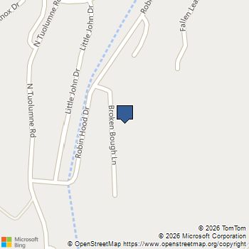 22443 Broken Bough Ln Twain Harte, CA MLS# 41117103