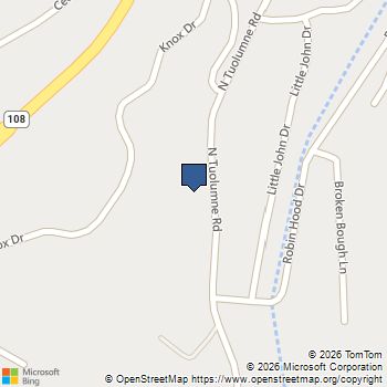 22464 Tuolumne Rd. N Twain Harte, CA MLS# 41139001