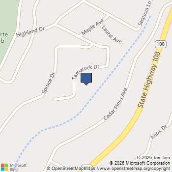 22693 Tamarack DR Twain Harte, CA MLS# 41123544