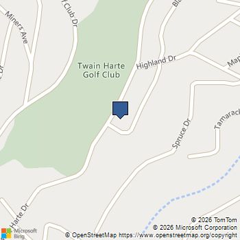 22709 Twain Harte DR Twain Harte, CA MLS# 41134990