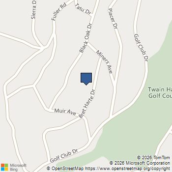22790 Bret Harte Dr Twain Harte, CA MLS# 41143886