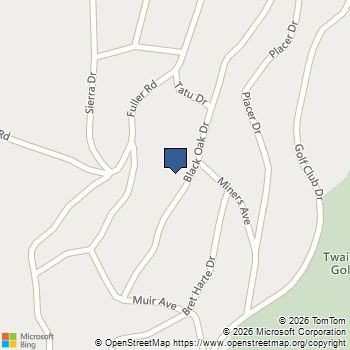 22862 Black Oak Dr Twain Harte, CA MLS# 41134878