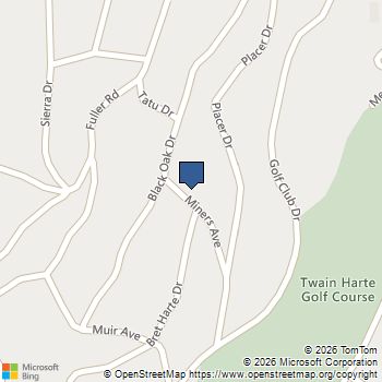 22859 Miners Ave. Two Houses Twain Harte, CA MLS# 41143976