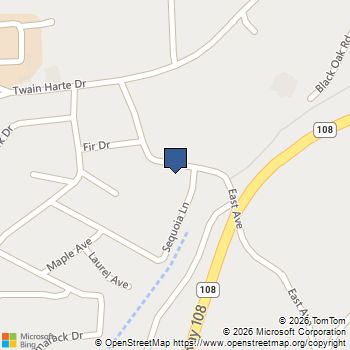 22896 East Ave Twain Harte, CA MLS# 41142429