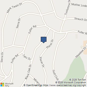 22983 Black Oak Dr Twain Harte, CA MLS# 41138593