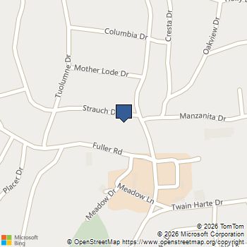 23012 Strauch Dr Twain Harte, CA MLS# 41134707