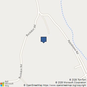 514 Appaloosa Way Angels Camp, CA MLS# 41122914