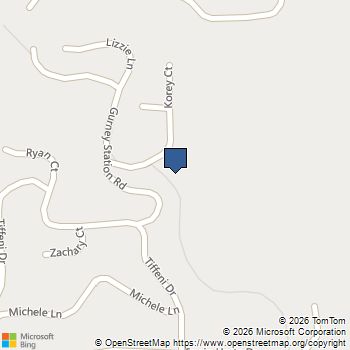 00 Italian Bar RD Twain Harte, CA MLS# 41142063