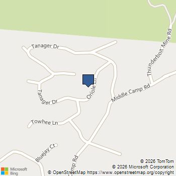 23430 Oriole Ln. Twain Harte, CA MLS# 41138091
