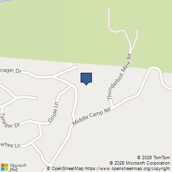 23420 Tanager Dr Twain Harte, CA MLS# 41135523