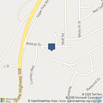 24051 Pine Lake Dr Twain Harte, CA MLS# 41138617