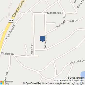 24090 White Fir Dr Twain Harte, CA MLS# 41133079