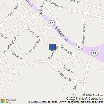 445 Butler Avenue Tonopah, NV MLS# 2749992