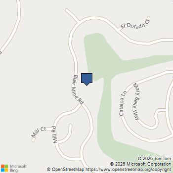 293 Blair Mine Rd Angels Camp, CA MLS# 41145256