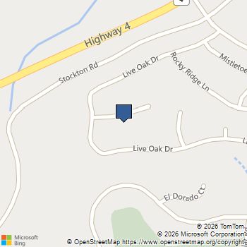 545 LIVE OAK CT, Angels Camp, CA MLS# 41136719