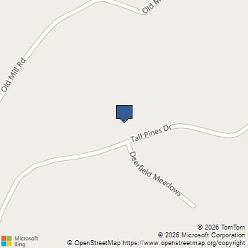 519 TALL PINES DR Mineral, VA MLS# VALA2010098