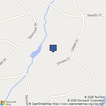 8510 Ormes Court Valley Springs, CA MLS# 226027207