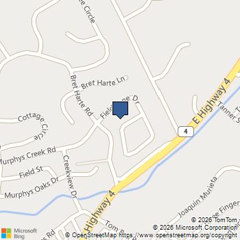 343 Fieldstone Drive Murphys, CA MLS# 41122006