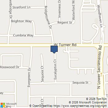 915 Eucalyptus Court Lodi, CA MLS# 226108387