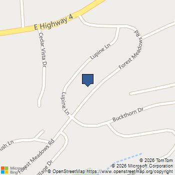 316 Forest Meadows Drive Murphys, CA MLS# 216601395