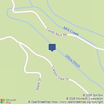 317 Canyon View Dr Hathaway Pines, CA MLS# 41136857
