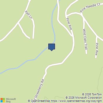 31500 Old Strawberry Rd Pinecrest, CA MLS# 41144348