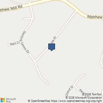 185 ANGIE PL Ruckersville, VA MLS# 679536