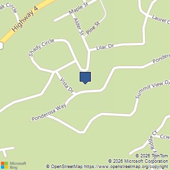 1186 Ponderosa Drive Arnold, CA MLS# 216601433