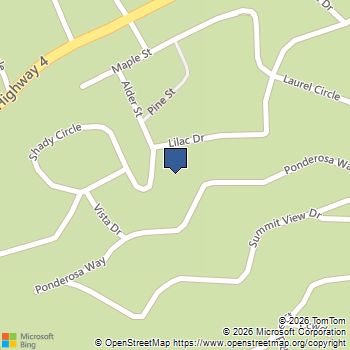 1273 Lilac Dr Arnold, CA MLS# 41128105