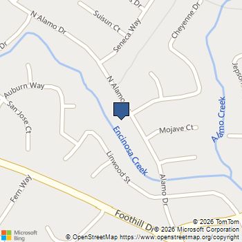 162 N Alamo Drive Vacaville, CA MLS# ML82029161