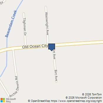 32061 Old Ocean City Road Parsonsburg, MD MLS# MDWC2025086
