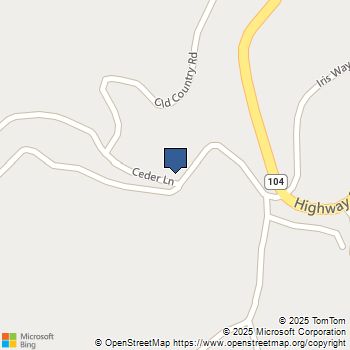 166 Higdon Road West Point, CA MLS# ML82005875