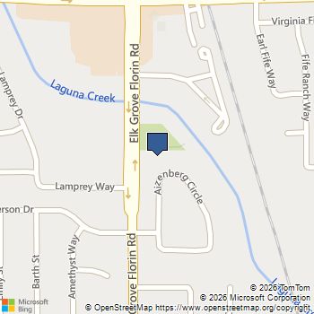 9328 Aizenberg Circle Elk Grove, CA MLS# 226028190