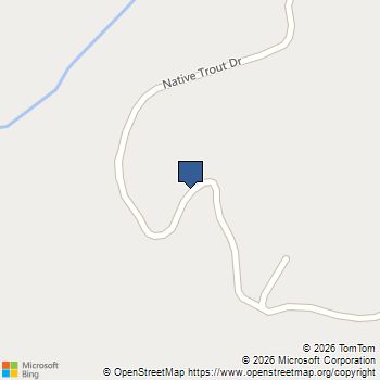 Native Trout Drive Sugar Grove, WV MLS# WVPT2001118
