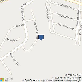 409 Wood Duck Drive Cambridge, MD MLS# MDDO2011972