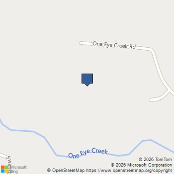 3200 One Eye Creek Road Placerville, CA MLS# 226014447