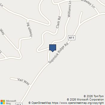 167 WILLIAMS LN Basye, VA MLS# 678070
